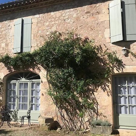 Domaine De La Durantie Duplex Vieux Chateau Castelnau-de-Montmiral Exterior foto