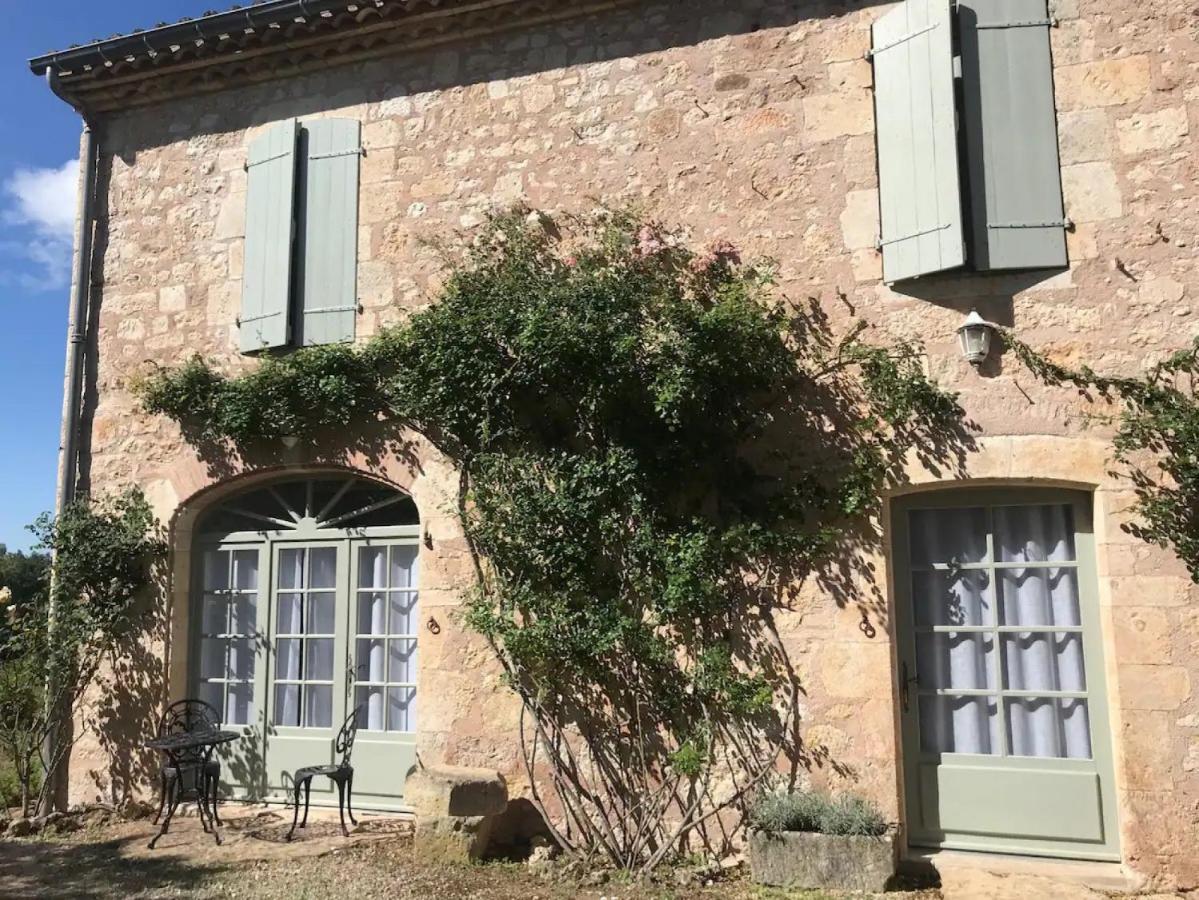 Domaine De La Durantie Duplex Vieux Chateau Castelnau-de-Montmiral Exterior foto